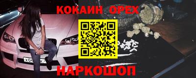 сатива Новозыбков