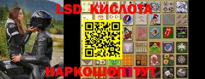сатива Новозыбков