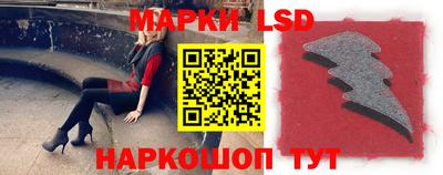 сатива Новозыбков