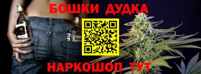 тгк Новокубанск