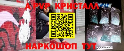 сатива Новозыбков