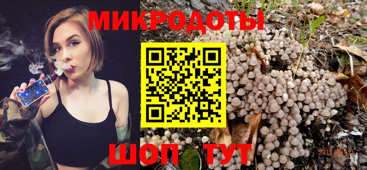 Галлюциногенные грибы мухоморы Юрга