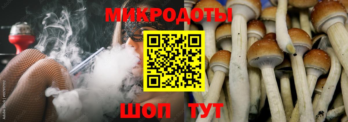 Галлюциногенные грибы ЛСД  Псилоцибиновые грибы ЛСД  Юрга  Вход с VPN 
